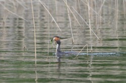 05. foto Annika Stendahl