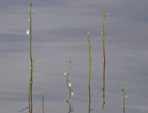 07. foto Annika Stendahl