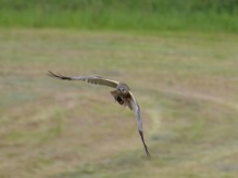 13. foto Annika Stendahl