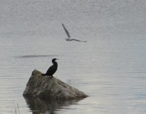 14. foto Annika Stendahl