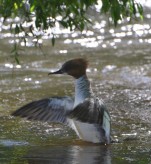 15. foto Annika Stendahl