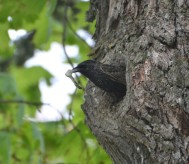 16. foto Annika Stendahl