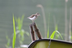 25. foto Annika Stendahl