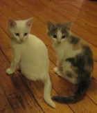 26. foto Annika Stendahl