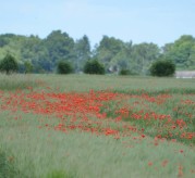 28. foto Annika Stendahl