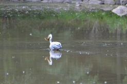 31. foto Annika Stendahl