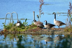 32. foto Annika Stendahl