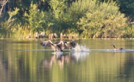 33. foto Annika Stendahl