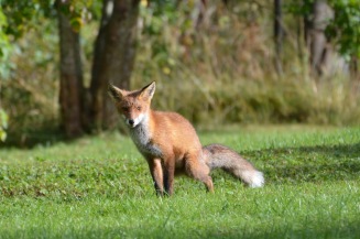 2012 sept. foto Annika Stendal