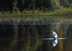 foto Ing-Marie Wallin