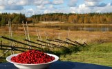 foto Ing-Marie Wallin