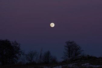 Kvällsmånen, V Eneby, som under morgontimmarna blev Blodmånen (gick ej att se p.g.a. mulet!