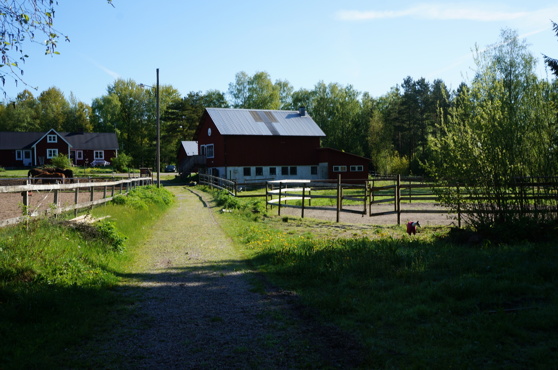 Stallet med paddock på vänster sida och rundcorall på höger sida.
