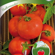 Tomat, Busk- 
