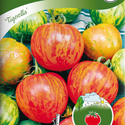 Tomat, Frilands- 