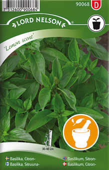 Basilika, Citron-, Lemon scent