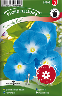 Blomman för dagen, Heavenly Blue