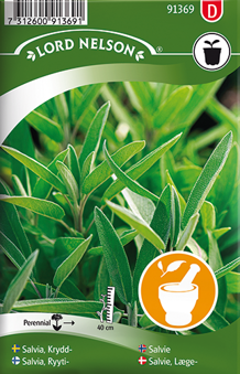 Salvia, Krydd-