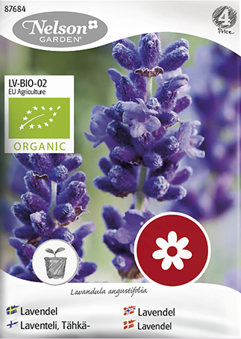 Lavendel