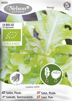Sallat, Plock- 