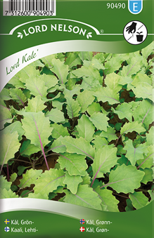 Kål, Grön- ''Lord Kale''