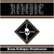 REVENGE Scum. Collapse. Erradication 12” LP (bronze edition)