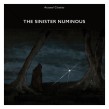 V/A - The Sinister Numinous 12”LP (RESTOCK!)