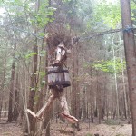 Troll i skogen