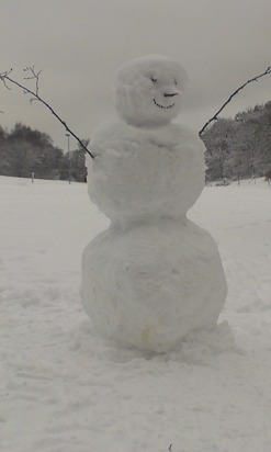 Så här glad blev snögubben på andra sidan Husarviken över detta.