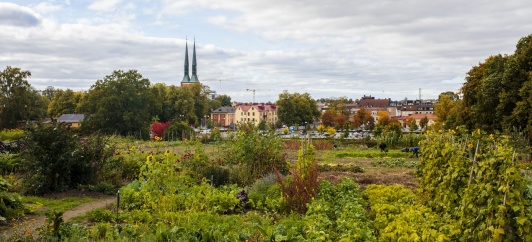 MAT i Växjö är den årliga mötesplatsen för kunskap och inspiration kring hållbar produktion och konsumtion av mat. MAT i Växjö är den årliga mötesplatsen för kunskap och inspiration kring hållbar produktion och konsumtion av mat.