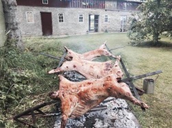 helgrillat, lamm, meny helgrillat, lamm, meny