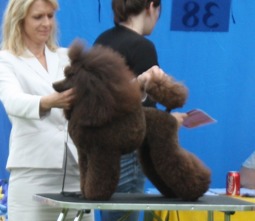 SE- & NOUCH Cyberspace Scooby Doo SE- & NOUCH Cyberspace Scooby Doo