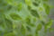 Fotolia_44569802_XL