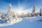 Fotolia_47387539_XXL