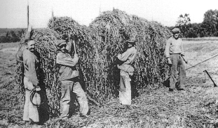 Höhässjning i början av 1940-talet. Från vänster rättaren Tage Lindahl, Karl Lundberg, Sandlid, Sigfrid Johansson och Harry Lundberg.                                                                    Höhässjning i början av 1940-talet. Från vänster rättaren Tage Lindahl, Karl Lundberg, Sandlid, Sigfrid Johansson och Harry Lundberg.