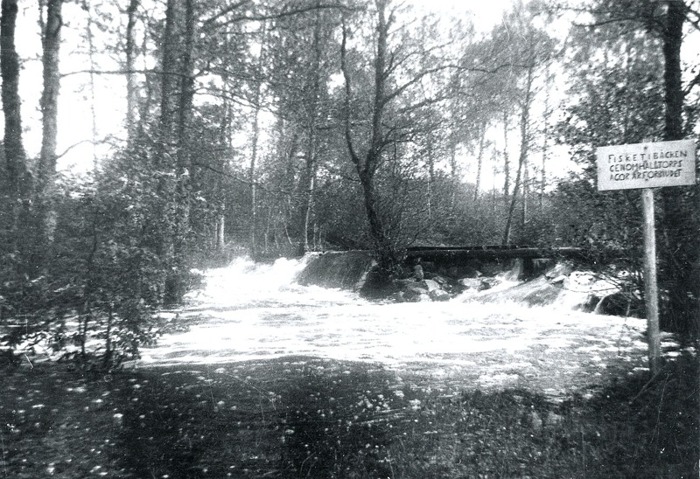 B. 11 Hålltorps kvarndamm - Hålltörpadammen" på 1930-talet. Västergötlands Museum - bildarkivet/bildnummer: A145127:10 Fotograf: Nils Lann Hålltorps kvarndamm på 1930-talet. Dammen låg ovanför landsvägsbron c:a 250 m från kvarnen. När mjölnaren behövde malvatten fick han gå hit och öppna luckorna. Vattnet rann sedan fritt till en krök av bäcken. Här leddes det in till kvarnen genom en stensatt trumma som gick under "Kvarnagärdet". Bilden är tagen vid en översvämning efter ett ymnigt regn. Hålltorps kvarn låg bakom nuvarande Tre Bäckar. Av kvarnhuset återstår endast undervåningen, vilken gjordes om till simbassäng. (Text NIls Lann). Insatt av Kent Friman, 2014-02-25. Läs mer på www.ljungstorspshistoria.se!