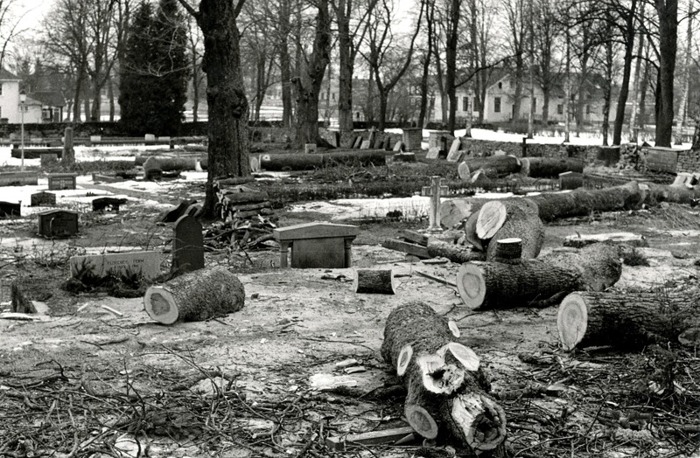 C. 20 Vårvintern 1978 avverkades överåriga askar på kyrkogården. Insatt av Kent Friman, 2014-02-26.