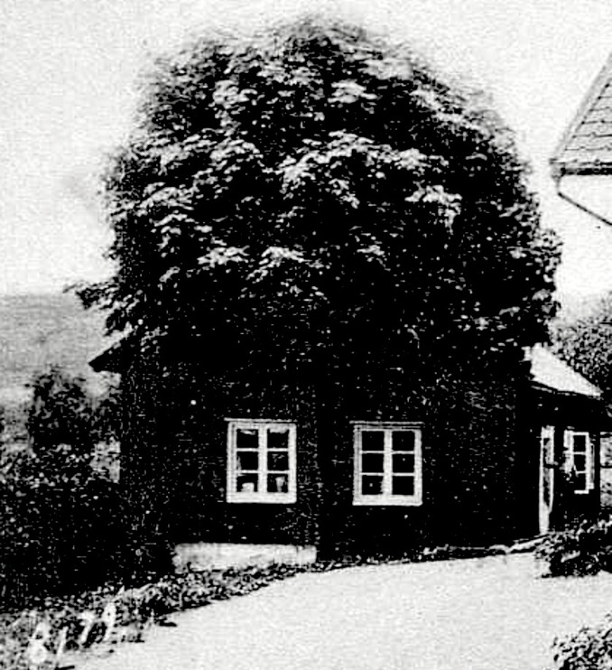 Detalj av bild från Förbergs samling via Astrid Blomqvist, Tomten, 2015. Fotot är taget av Ludwig Ericson, Skövde 1904.