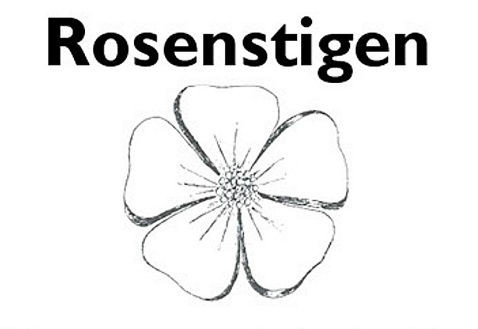 Rosen Alba rosa minette, Gudhems-rosen tecknad av Ebon Lundgren - planterad vid Klostermuseets  norra gavel i Varnhem.