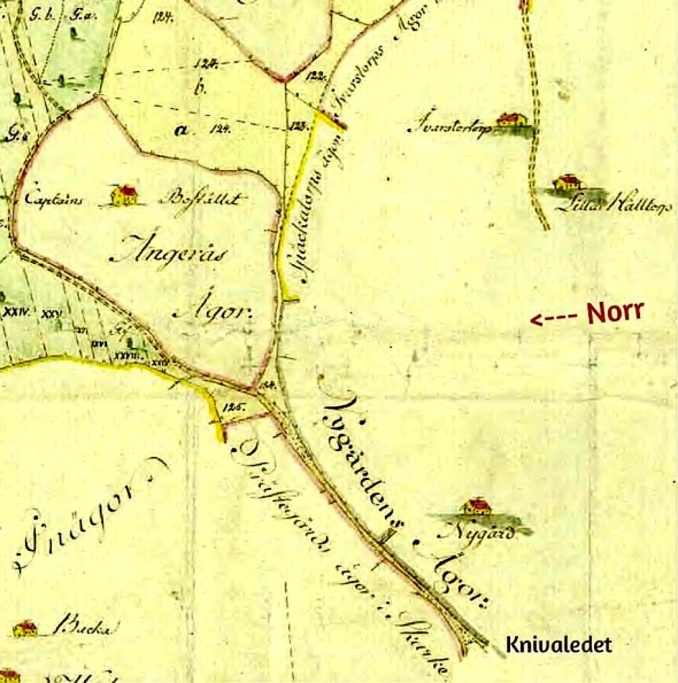 Nygården karta 1794 - Obs kartan är vänd med väster i stort sett nedåt!