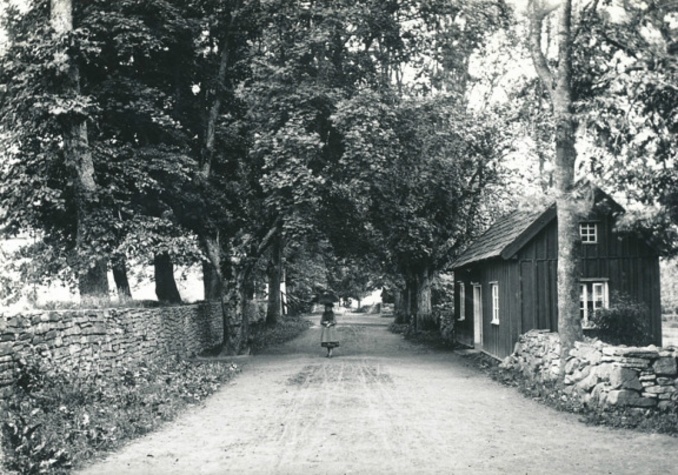 Fotograf Ludvig Eriksson, Skövde - fotograferad 1892.  Från Västergötlands Museum - bildarkivet/bildnummer: A71924