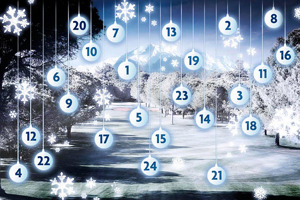julkalender halmstad hundsim julkalender halmstad hundsim