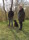 FullSizeRender-3