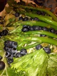 IMG_0893 IMG_0893