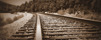 Wood-railway