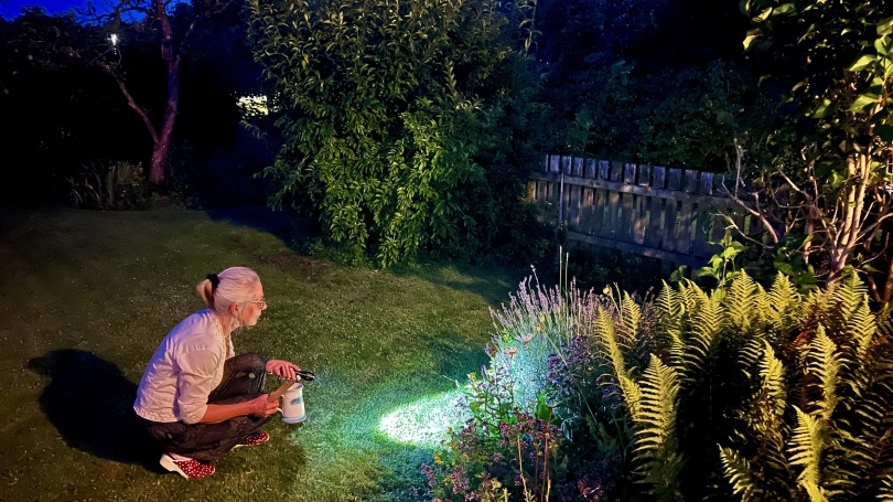 Våra sommarkvällar på Solbrinken följer ett väl inrutat mönster;  ..först jagar vi mördarsniglar i lampans sken, sedan firar vi ibland jakten med ett glas vin i den milda sommarnatten.!