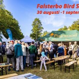 Falsterbi Bird Show II Text 240901 (kopia)