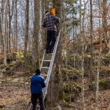 Fladdermusholk sätts upp I 250320 (kopia)