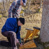 Fladdermusholk sätts upp III 250320 (kopia)