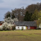 Bondgård Tormestorp I 250418 (kopia)